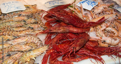 Langostinos tigre y carabineros  / Langostinos tigre y carabineros / Tiger prawns and Red Prawns