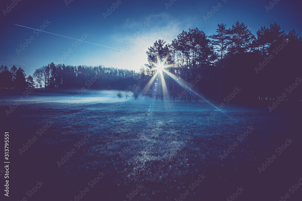 frosty morning on meadow near forest, light effects of dawn sun - obrazy, fototapety, plakaty 