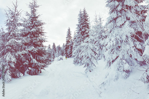 Fototapeta Naklejka Na Ścianę i Meble -  Beskid Zywiecki. Winter in Poland. Captured during trekking on the way to Rysianka, near Zabnica village. Snowy Winter Mountains.