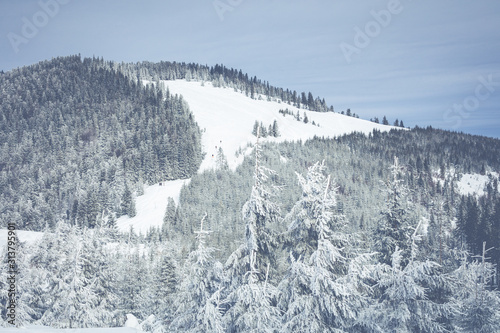 Fototapeta Naklejka Na Ścianę i Meble -  Beskid Zywiecki. Winter in Poland. Captured during trekking on the way to Rysianka, near Zabnica village. Snowy Winter Mountains.