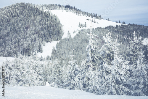 Fototapeta Naklejka Na Ścianę i Meble -  Beskid Zywiecki. Winter in Poland. Captured during trekking on the way to Rysianka, near Zabnica village. Snowy Winter Mountains.