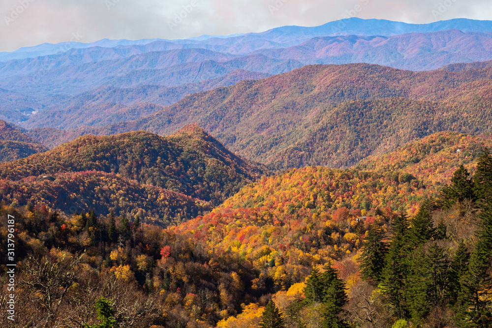 Fall on the Blue Ridge Parkway - Smoky Mountains, North Carolina