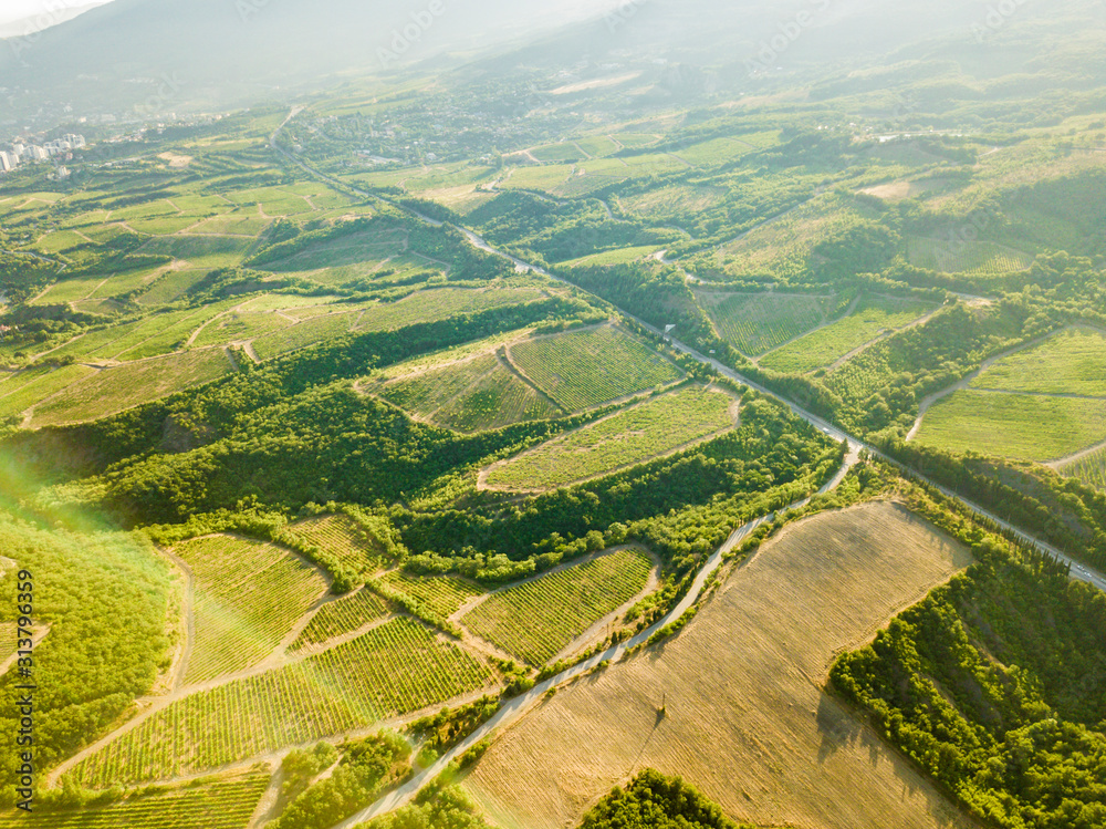 aerial plantations in the mountain during summer seasonnear the village