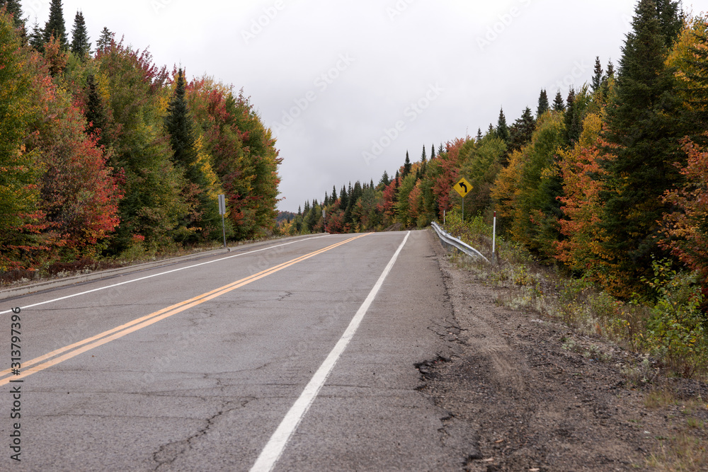 Naklejka premium Empty street in the Mauricie National Park in Indian Summer. Canada