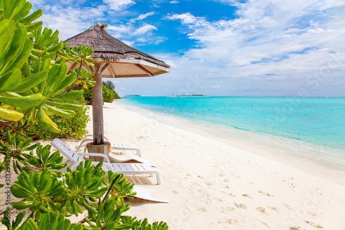 Fototapeta Naklejka Na Ścianę i Meble -  Maldive Islands Sand Beach and green palm foliage view