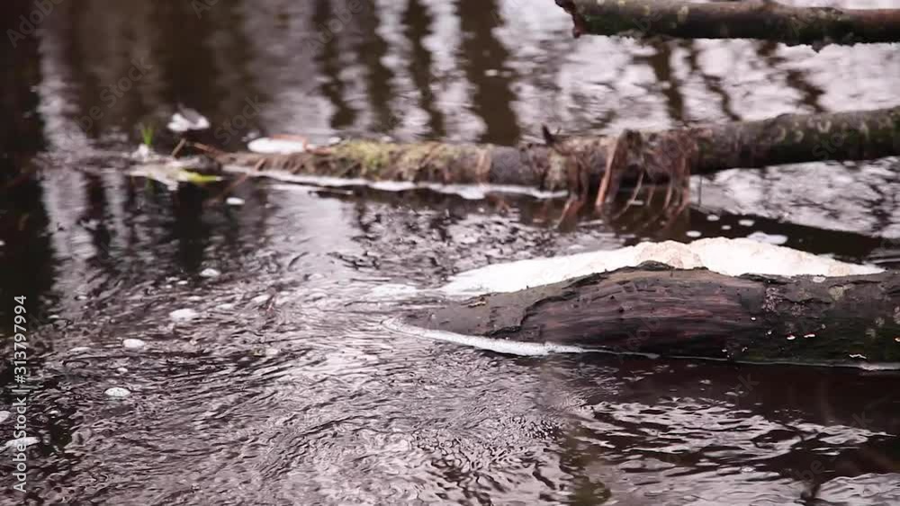 water flowing through a beaver dam on the river water flowing through a beaver dam on the river