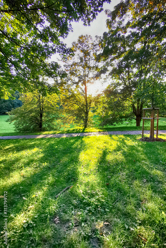 Obraz premium spring in the park