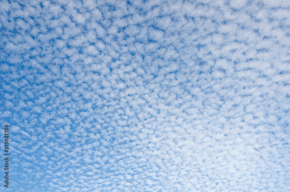 うろこ雲 うろこ雲