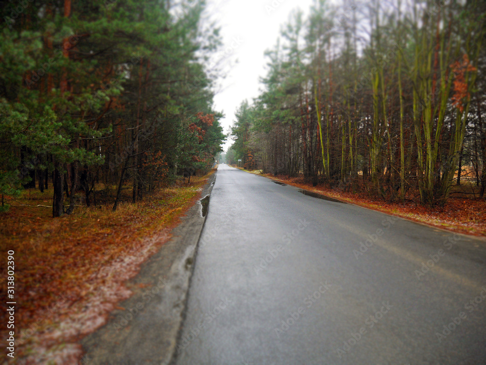 road in autumn diorama