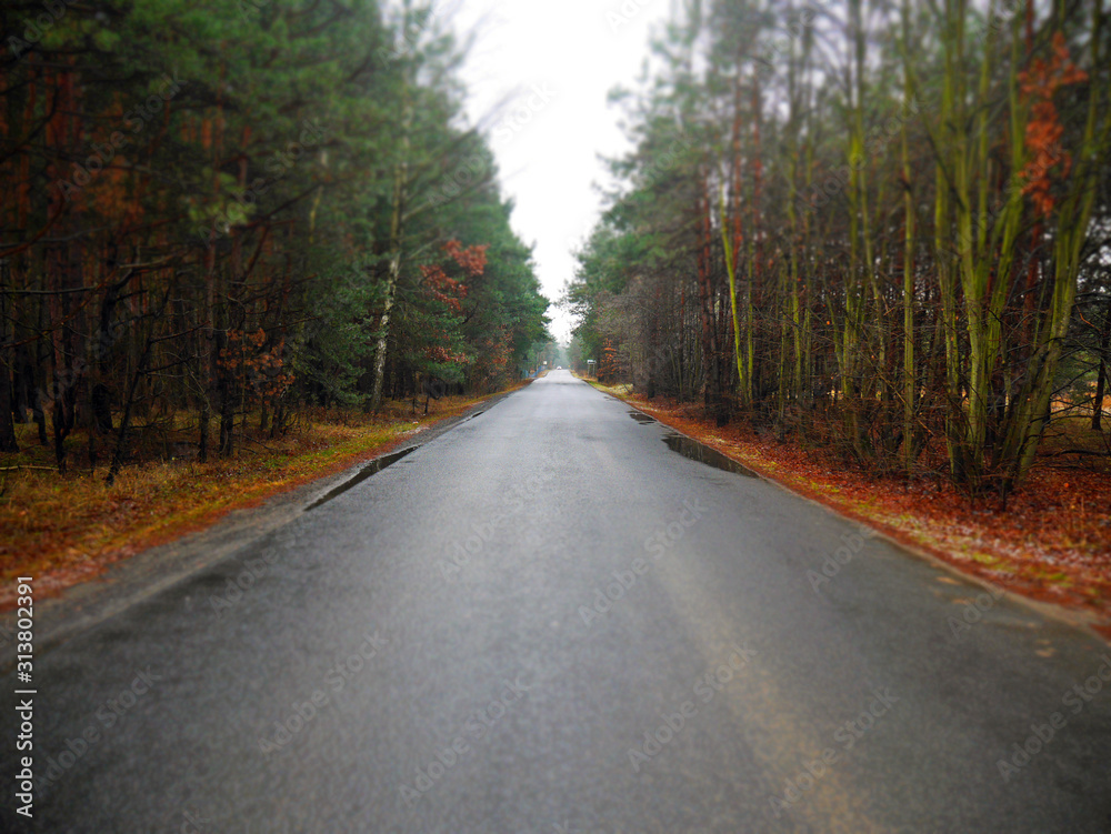 road in the forest diorama miniature