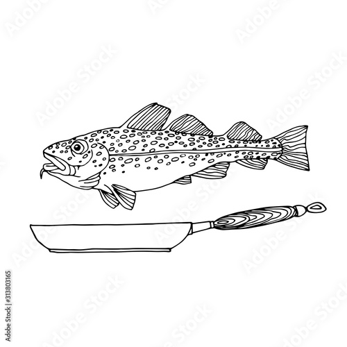 Atlantic spotted cod, commercial fish, sea predator, delicious food, with a frying pan, vector illustration with black contour lines isolated on white background in Doodle and hand drawn style