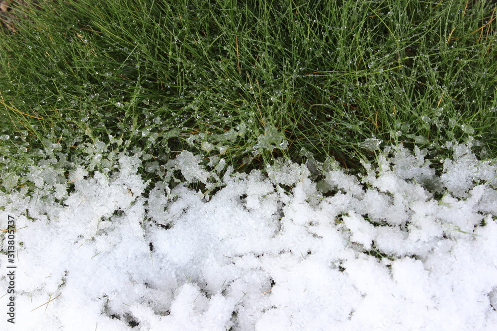 Background of green grass and white snow Background of green grass and white snow