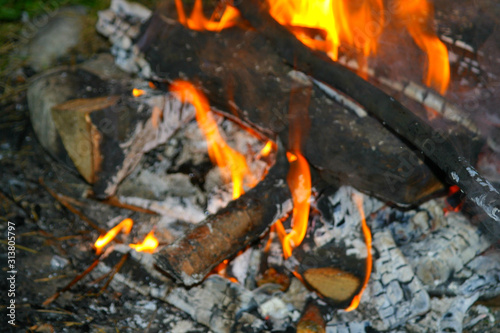 Closeup of a wooden campfire. Branchs and twigs on fire.