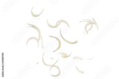 Photography Pile of nail clipping