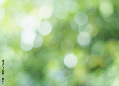 Natural bokeh. Green light bokeh nature background. Abstract blurred background. 