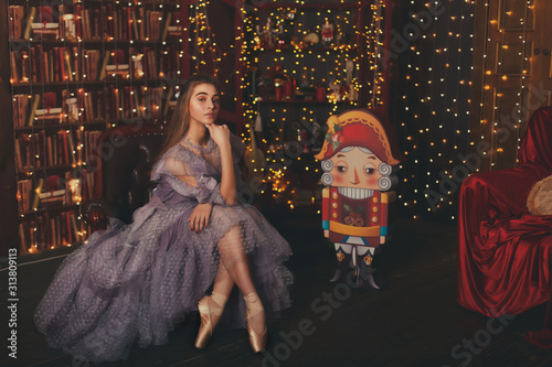 The Nutcracker New Year's Tale