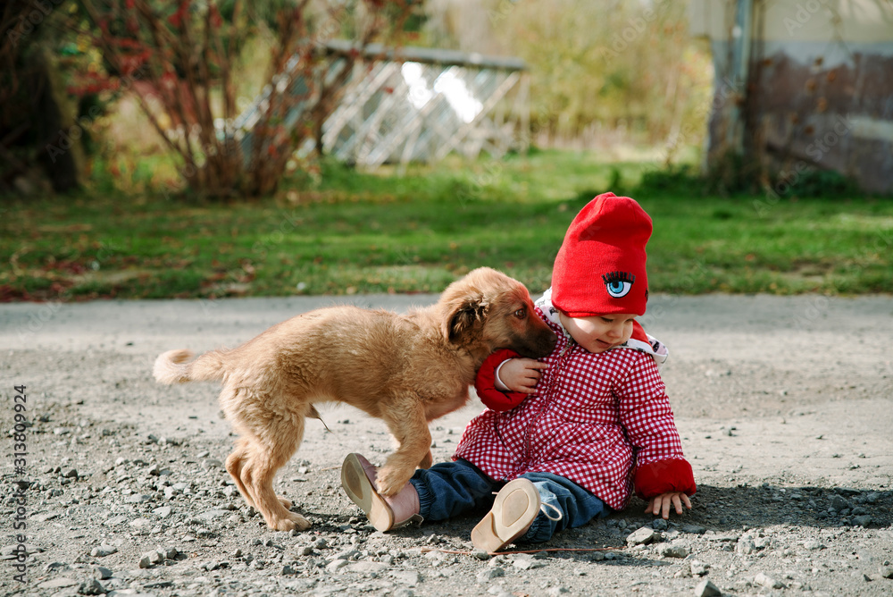 baby girl is playing with a puppy baby girl is playing with a puppy
