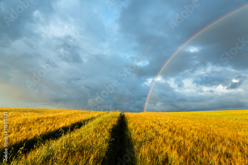 rainbow over the field, Pomerania Poland