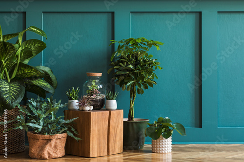 Modern composition of home garden filled a lot of beautiful plants, cacti, succulents, air plant in different design pots. Stylish botany interior. Green wall paneling. Template Home gardening concept