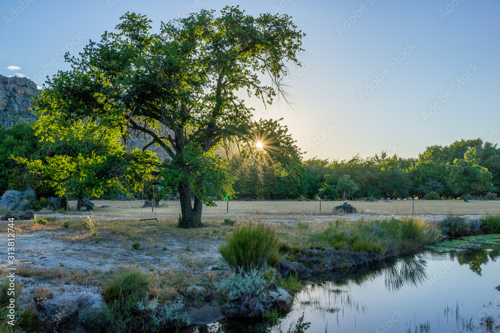 Obraz premium lake in forest