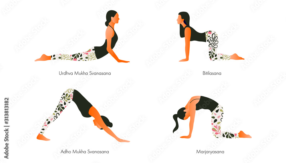 Women performing yoga asanas. Upward and Downward facing dog. Cat and ...