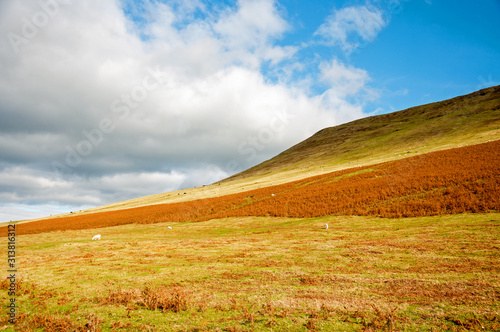 Black mountains scenery in the autumn