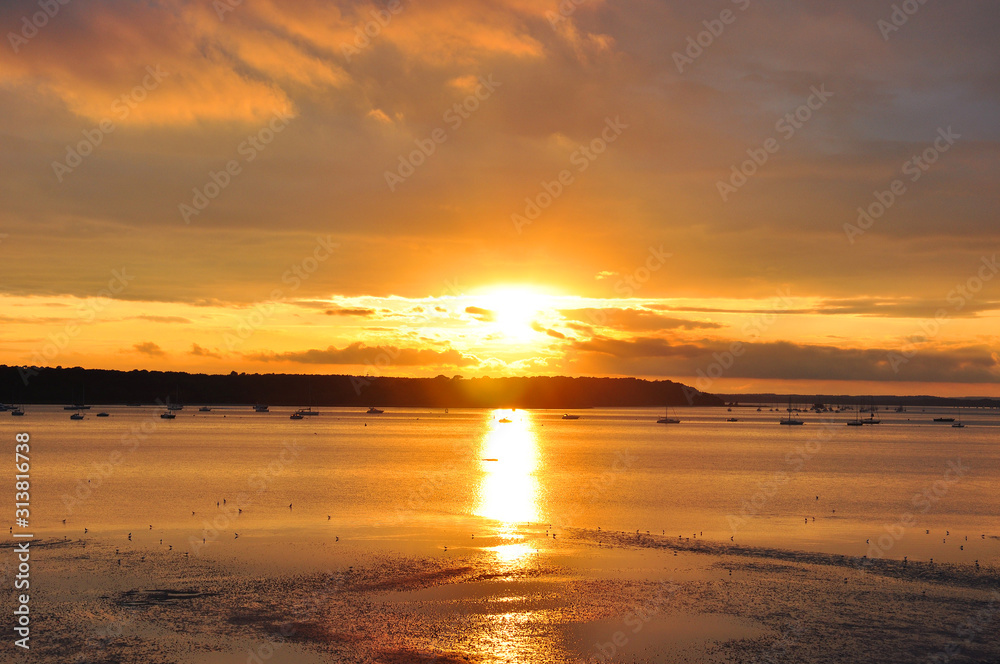 Brownsea island sunset in the summertime