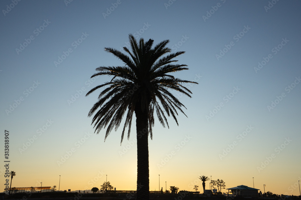 Obraz premium Enoshima is a typical tourist destination of Shonan. We photographed the silhouette of the utility pole and the beautiful blue sky at this location.