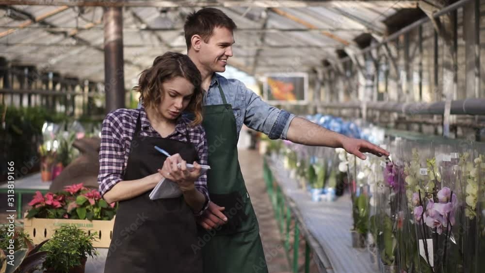 Male agricultural engineer and professional female farmer or florist analyzing working. Young woman in black apron doing notes. Two gardeners discussing their work in indoors greenhouse