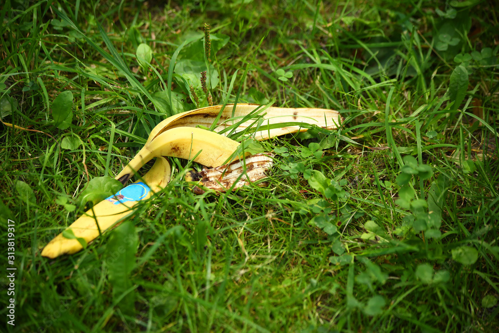 Crumpled yellow banana peel with a blue label lying in the green grass close up Crumpled yellow banana peel with a blue label lying in the green grass close up