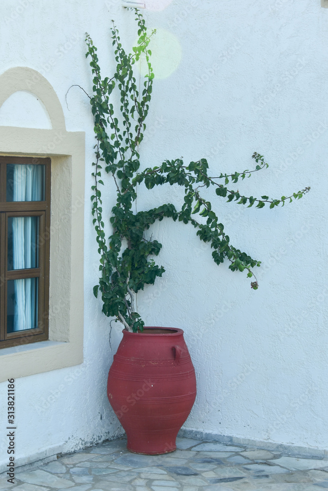 Garden decorations with flowers in pots and flower beds, terraces
