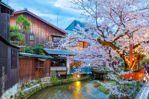 Kyoto, Japan at the Shirakawa River in the Gion District during the spring cherry blosson season.