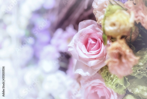 Closeup image of beautiful flowers wall background with amazing red and white roses Retro filter.