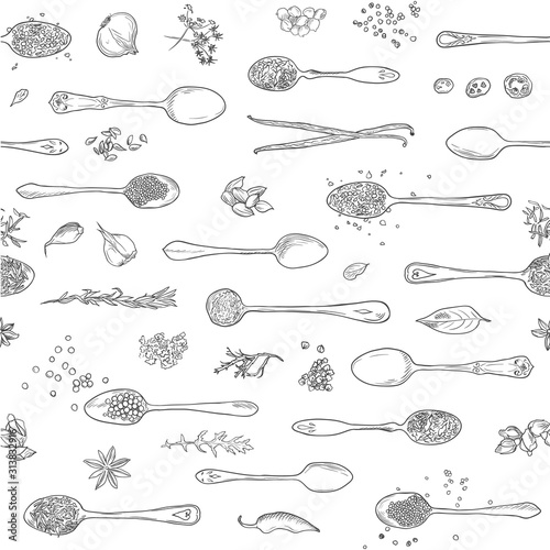 Spices, condiments background. Organic and fresh herbs. Hand drawn spoons, aromatic plants sketch. Kitchen template