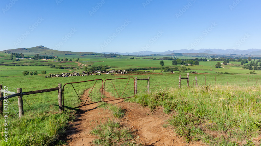 Farmlands Mountains Cattle Animals Summer Fields Scenic Panorama Landscape