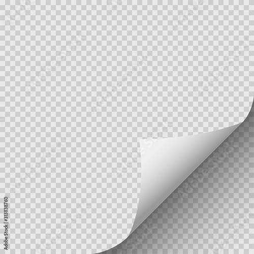 Curled corner of paper with shadow on transparent background. Vector illustration.