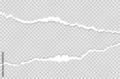 Horizontal torn paper edge.