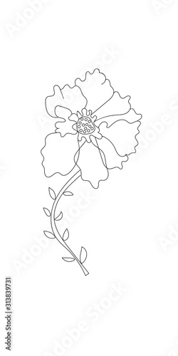 Beautiful stylized flower outline, isolated on a white background. Vector illustration, hand drawn.