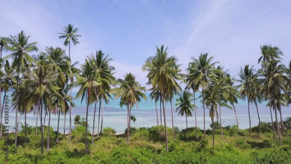 Coconut Palm Tree Coast Line with Sandy Beach by Tropical Sea in Thailand. Aerial View Coconut Palm Tree Coast Line with Sandy Beach by Tropical Sea in Thailand. Aerial View