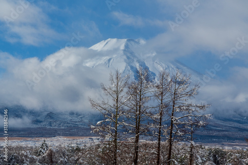 花の都公園から富士山雪景色
