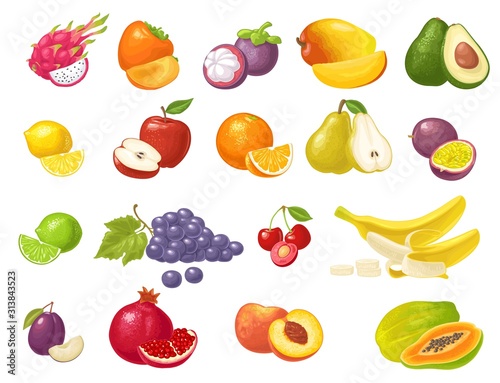Set tropical fruits. Vector color flat illustration isolated on white