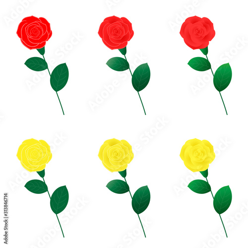 Variation set of rose illustration