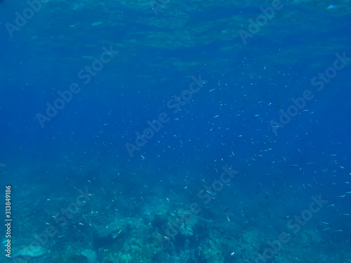 abstract underwater background