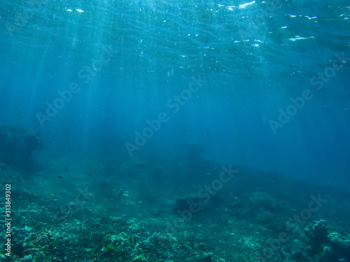 abstract underwater background