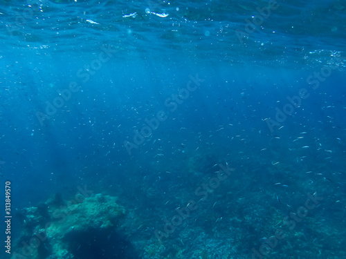 abstract underwater background © niksriwattanakul