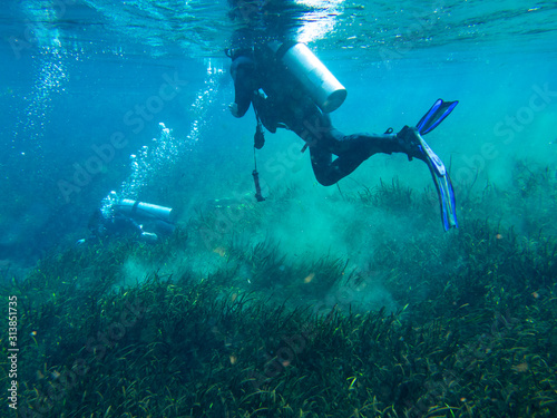 View of divers underwater in search and rescue exercise. © Wollwerth Imagery