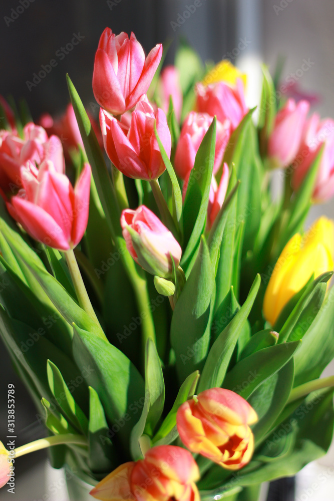 Obraz premium bouquet of tulips