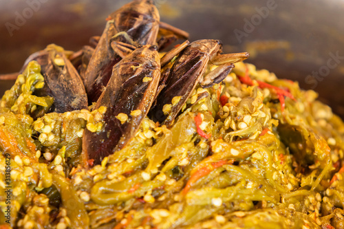 Northern Thai Green Chilli Dip with giant water bug ( Lethocerus indicus Lep.-Serv.) photo