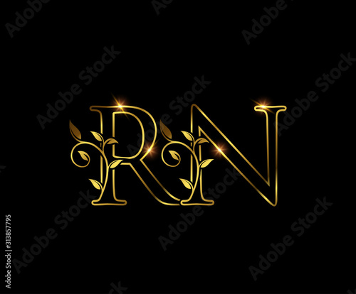 Golden R, N and RN Letter Luxury Logo Icon  photo