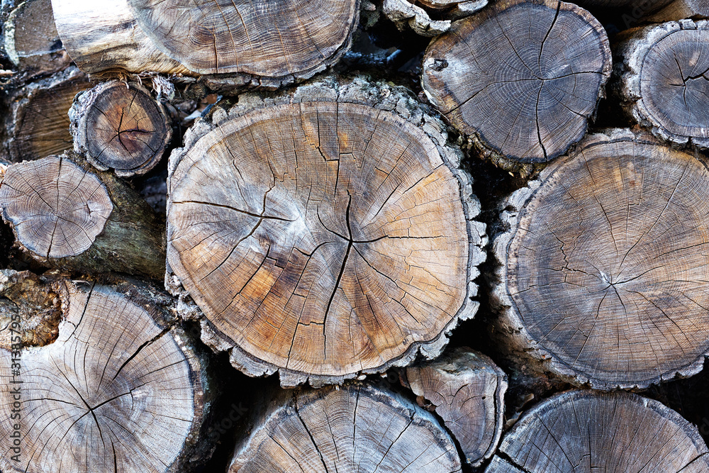 Wooden natural cut logs textured background Wooden natural cut logs textured background